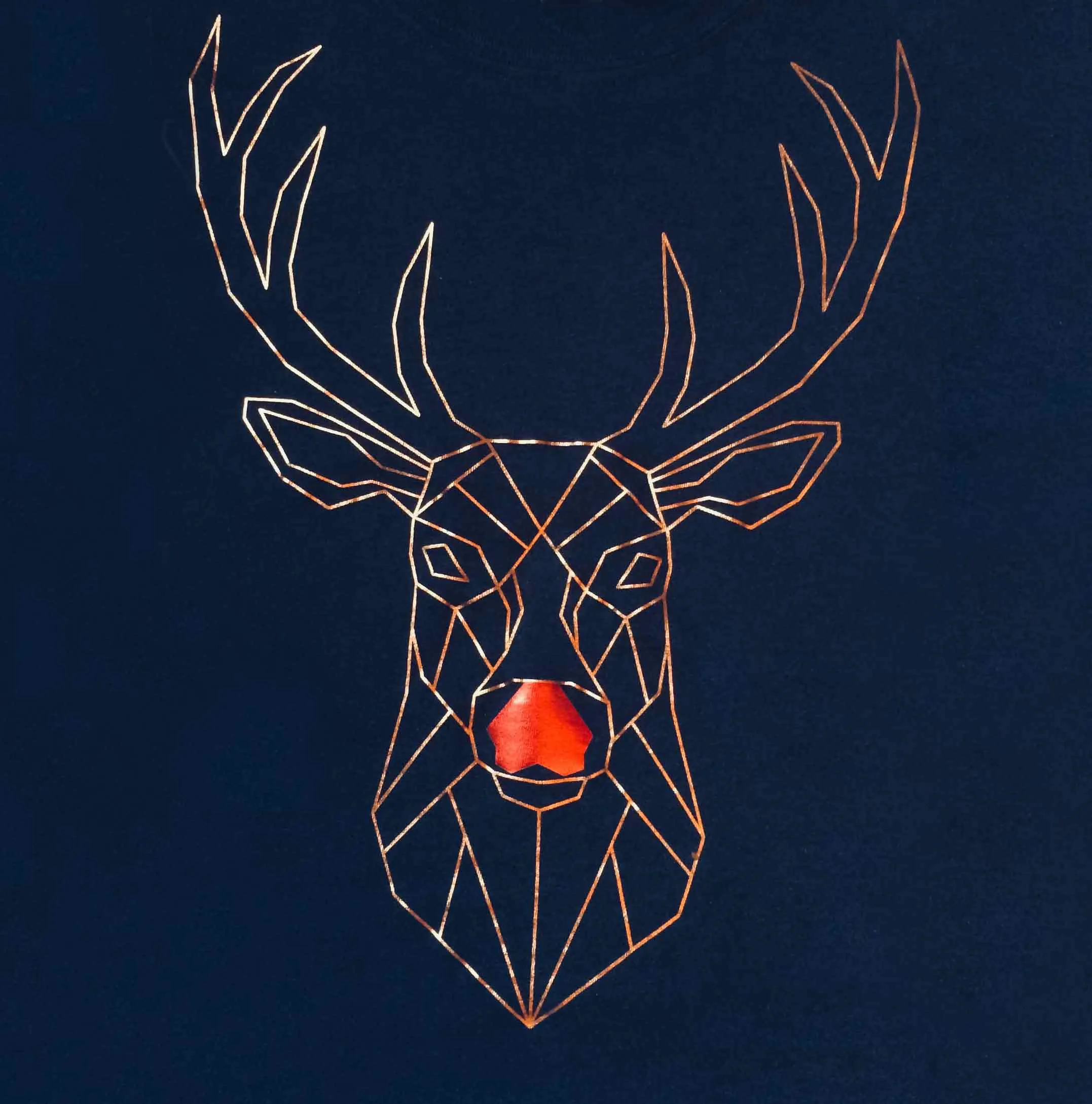 Geo Deer Sweatshirt