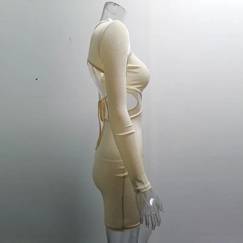 Knitted Waistless Long Sleeve Bodycon Mini Dress