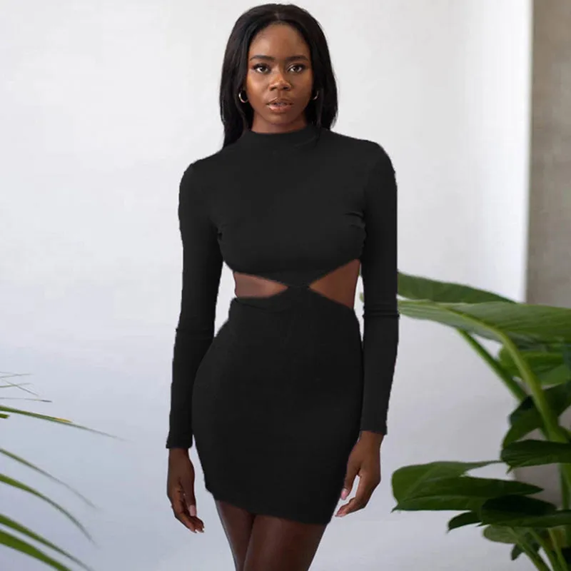 Knitted Waistless Long Sleeve Bodycon Mini Dress