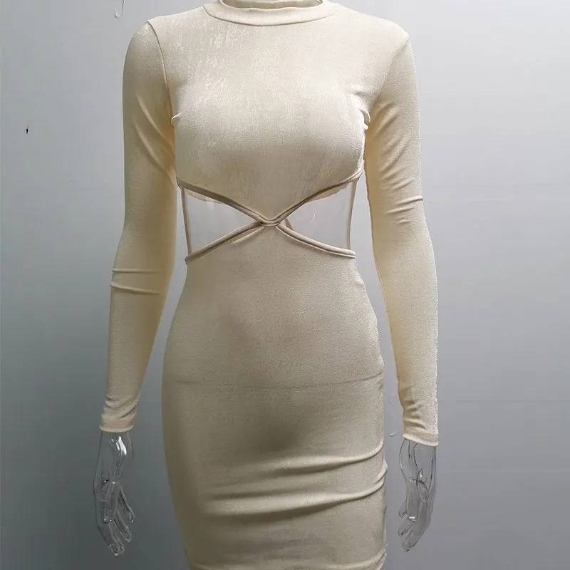 Knitted Waistless Long Sleeve Bodycon Mini Dress