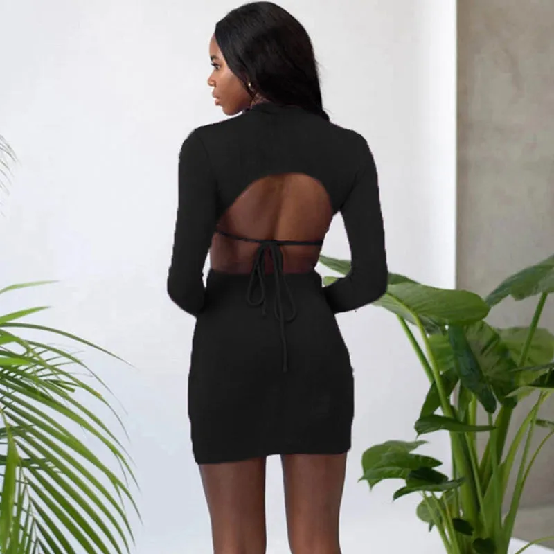 Knitted Waistless Long Sleeve Bodycon Mini Dress