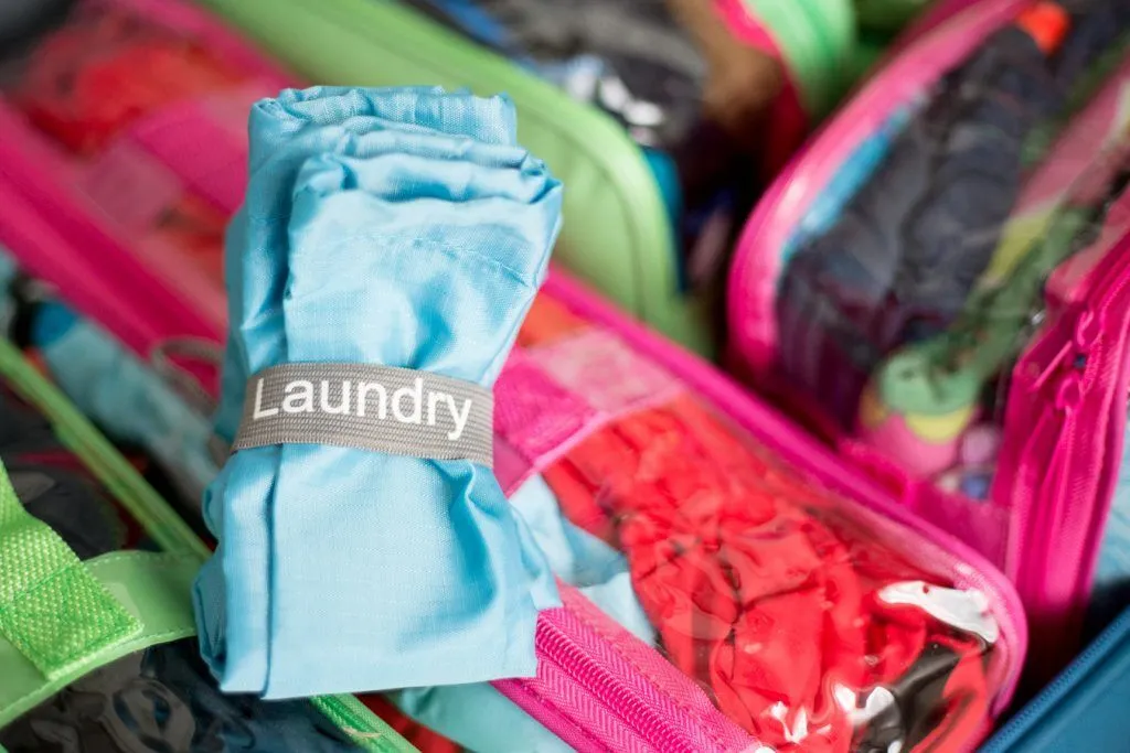 Travel Laundry Bag